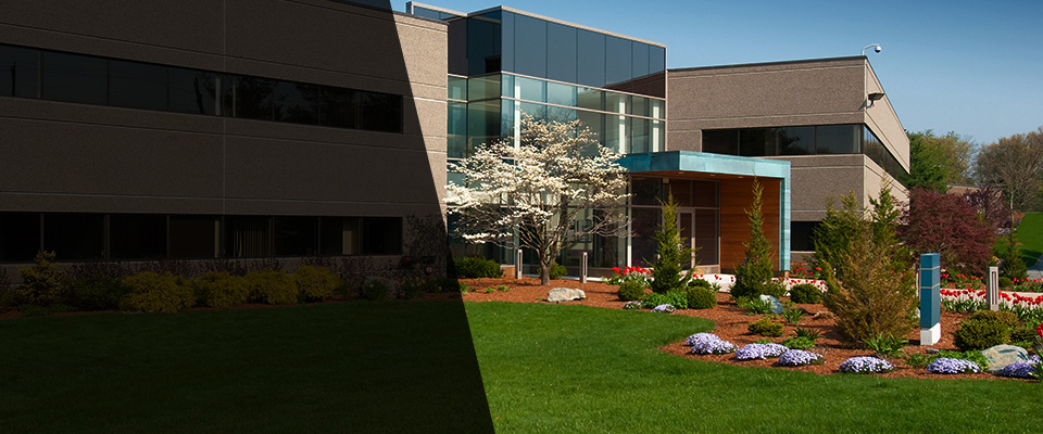 Elizabethport Landscapers