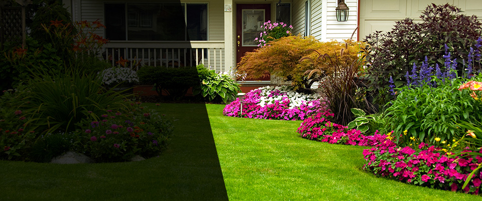 Elizabethport Landscapers