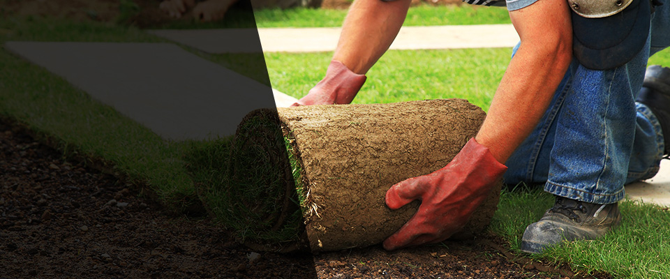 Elizabethport Landscapers